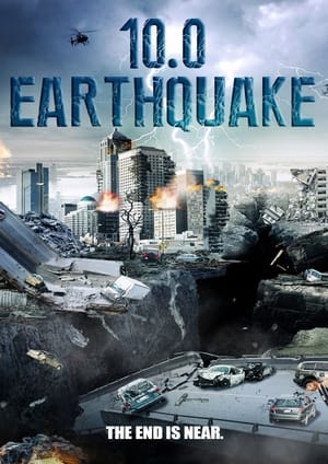 10.0 Earthquake 2014 Hindi Dual Audio 300MB