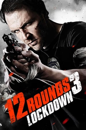 12 Rounds 3 Lockdown 2015 Hindi Dual Audio 300MB
