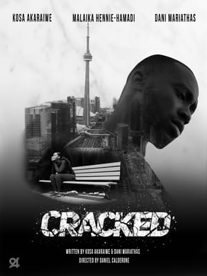 Cracked (2022) Hindi Dual Audio – 480p
