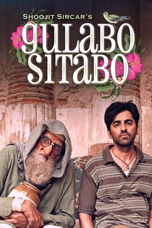 Gulabo Sitabo 2020 Hindi Movie [980MB]