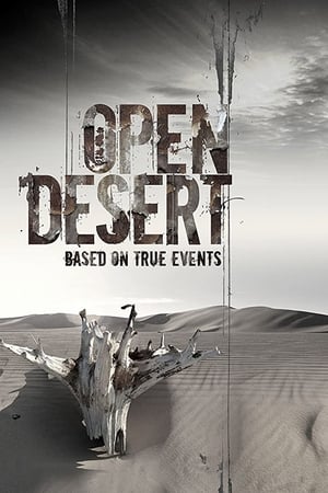 Open Desert (2013) Hindi Dual Audio – 480p