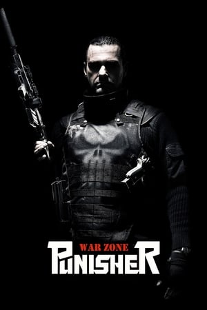 Punisher: War Zone (2008) Hindi Dual Audio 340MB
