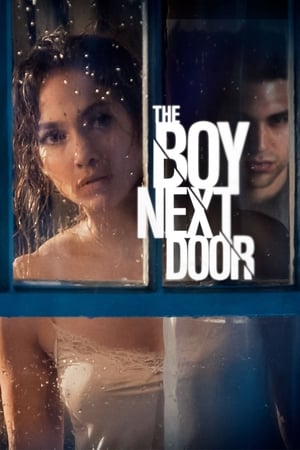 The Boy Next Door 2015 Hindi Dual Audio 300MB
