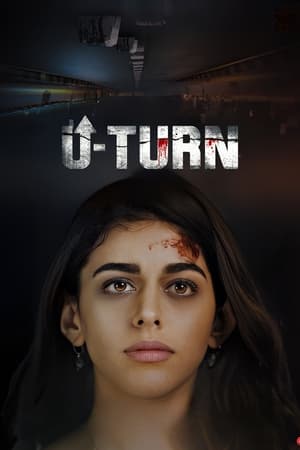 U-Turn (2023) Hindi | 480p