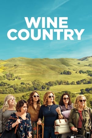Wine Country (2019) Hindi Dual Audio [1GB]